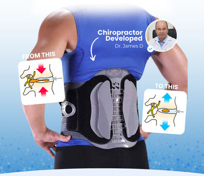 Back Support Belt
